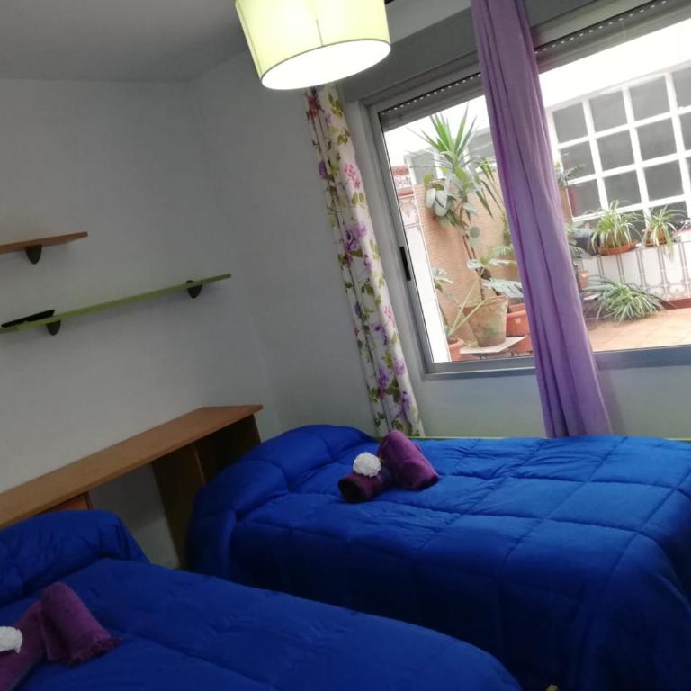 Casa Loli - Apartamento de 3 dormitorios - 17