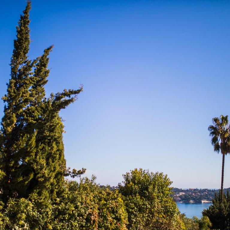 Jardin Figuiers AP4123 by Riviera Holiday Homes - Appartement - Vue sur Jardin - 27