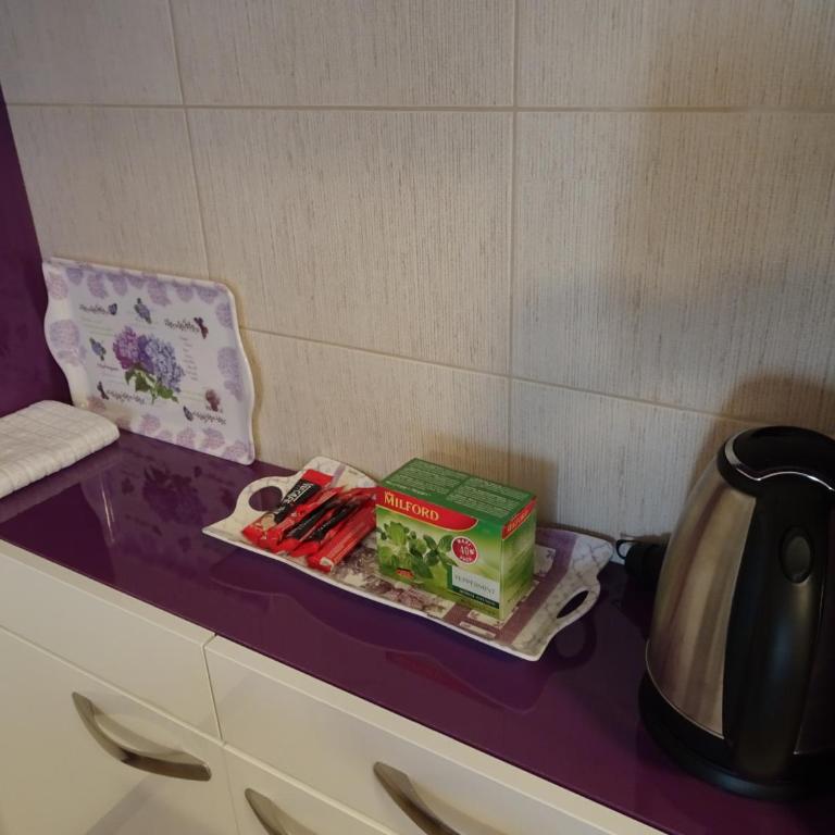 Quiet Apartment in City Center, Free Private Parking - Apartman sa 1 Spavaćom Sobom - 14