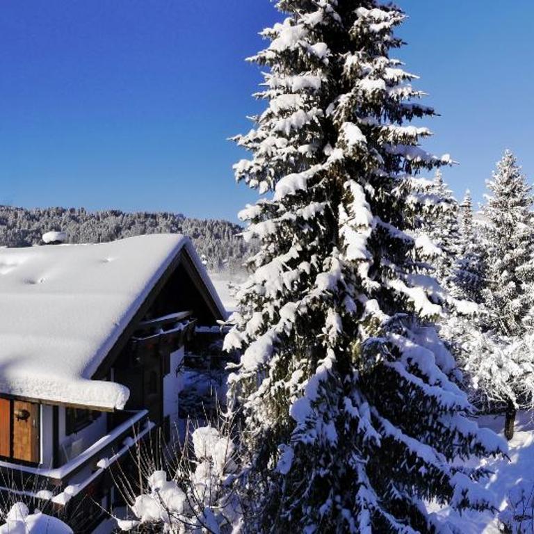 Komfort-Fewo "Allgäublick" - im südlichen Kurviertel nahe Therme, Wiesen - Bergbahnen unlimited Mai-Nov - Apartment mit 3 Schlafzimmern - 20