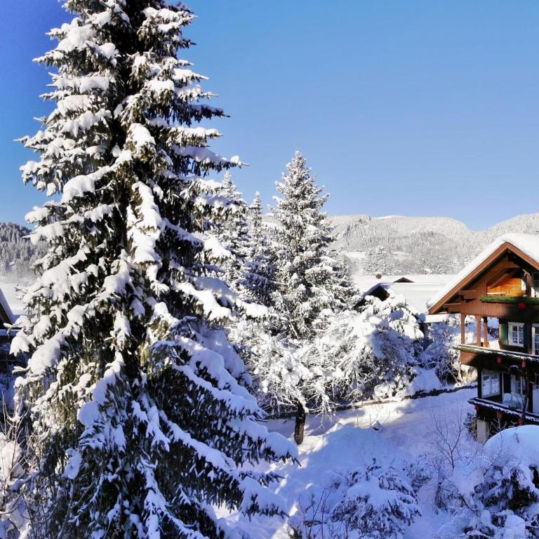 Komfort-Fewo "Allgäublick" - im südlichen Kurviertel nahe Therme, Wiesen - Bergbahnen unlimited Mai-Nov - Apartment mit 3 Schlafzimmern - 19