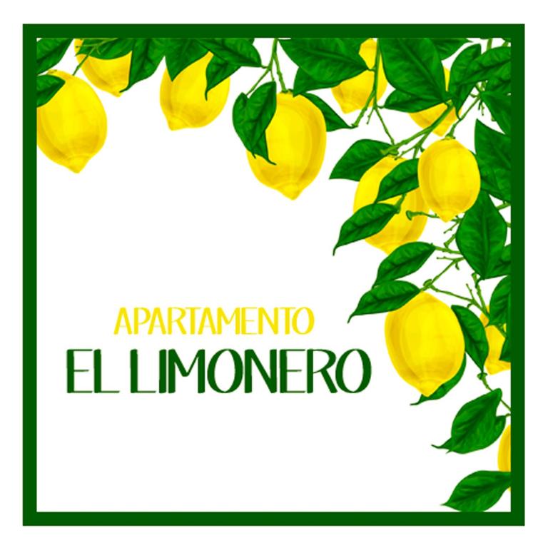 El Limonero - Apartamento de 1 dormitorio - 4