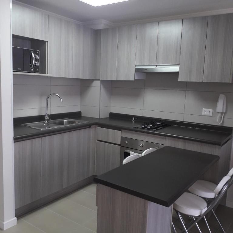 DEPARTAMENTO DIARIO CERCA de PLAYA CAVANCHA - One-Bedroom Apartment with Terrace - 1