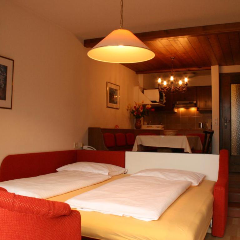 Ferienhaus Schiwiese mit freiem Eintritt in die Alpentherme & freie Nutzung der Gasteiner Bergbahnen im Sommer 2026 - Apartment mit 1 Schlafzimmer (2-4 Erwachsene) - 9