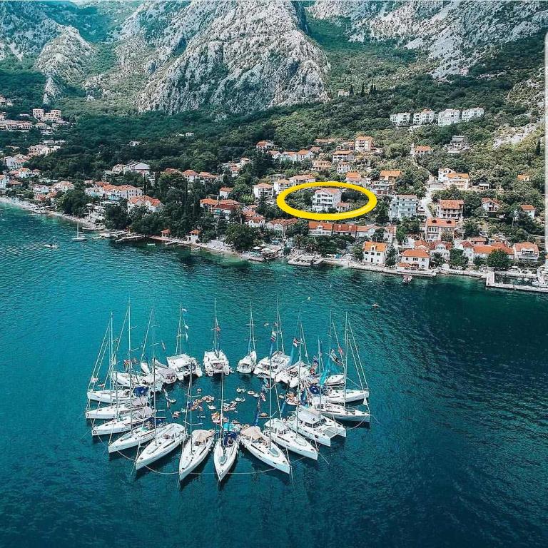 Sea Star Apartments - One-Bedroom Apartment - 24