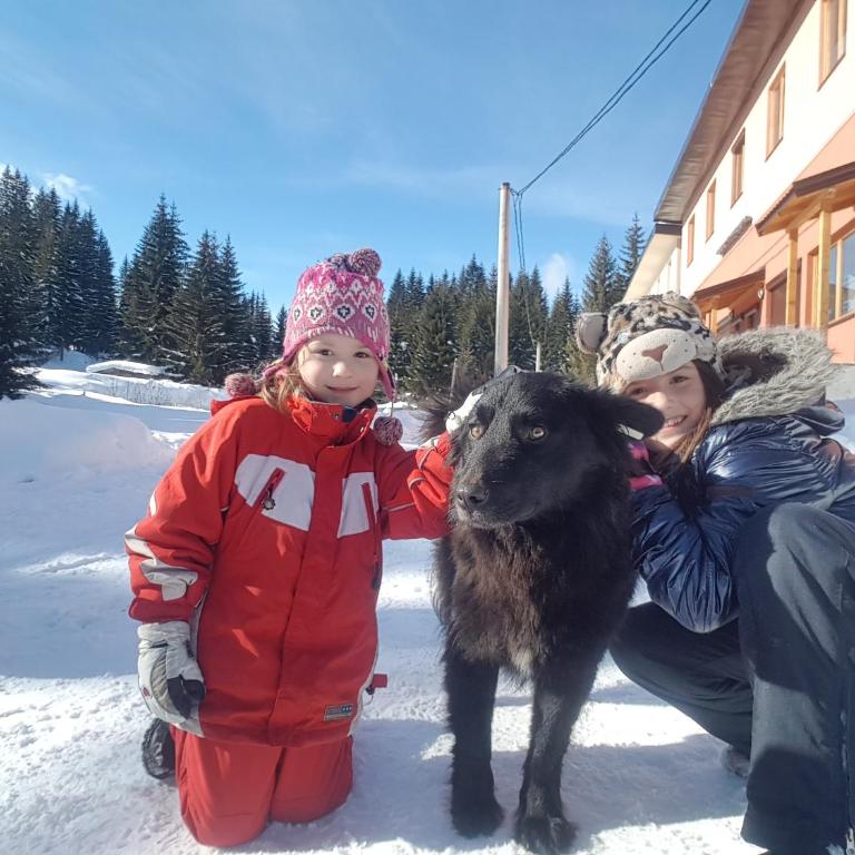 Studio apartman Paradise - Apartment - 44