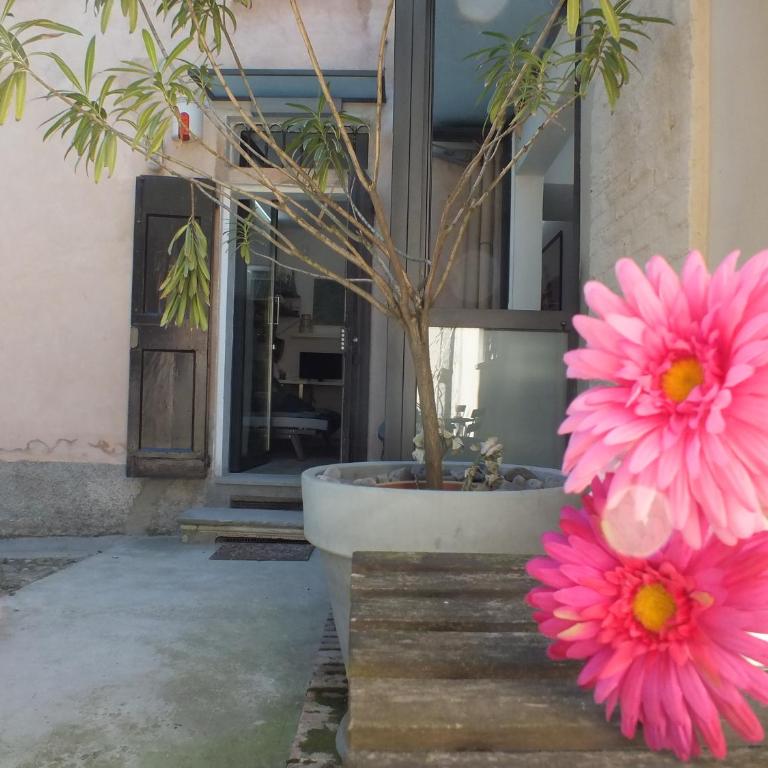 LOFT GARDEN in Bologna's heart OSPEDALE RIZZOLI - Appartamento con Vista Giardino - 28