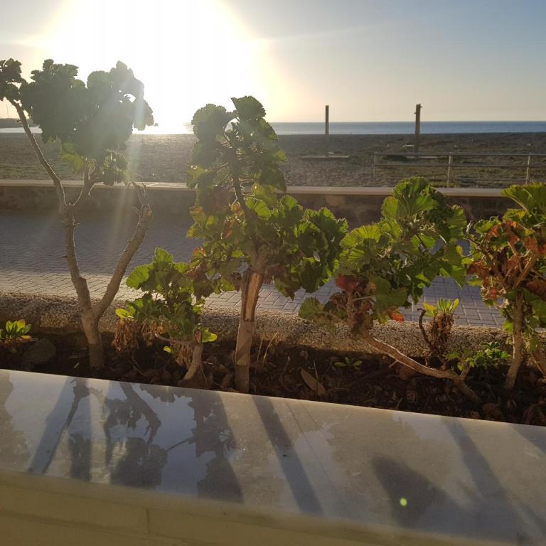 Apartamento SOLYMAR 3 - Apartamento con vistas al mar - Número 3 - 26