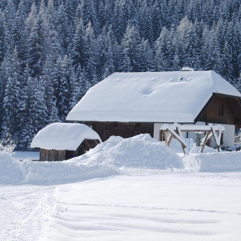 Ferienhaus Gobald - Maison de Vacances - 8