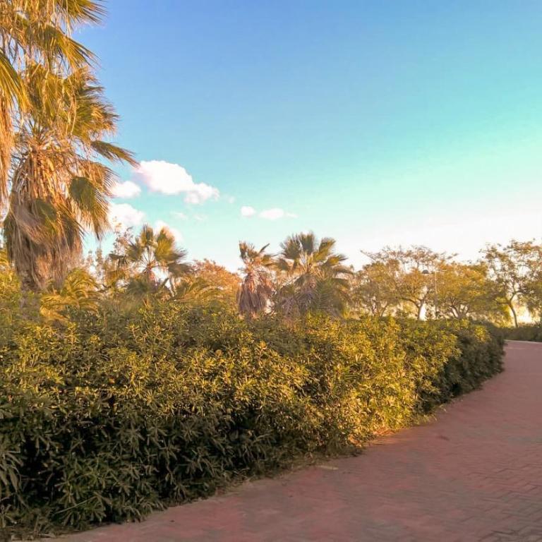 La Casita Blanca - Vistabella Golf - Apartamento de 2 dormitorios - 7
