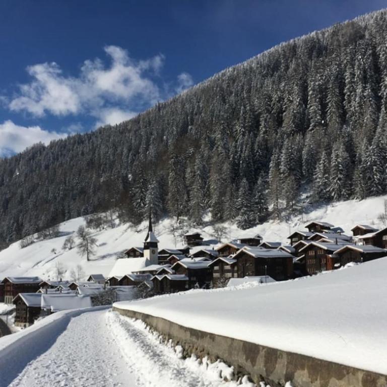 Haus Bortis - Appartamento con 1 Camera da Letto - 18