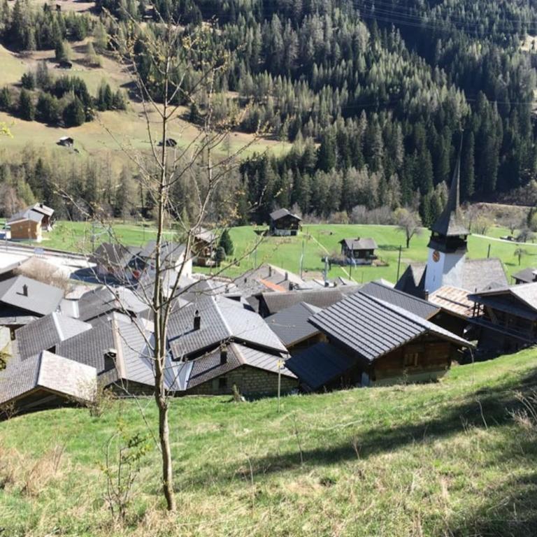 Haus Bortis - Appartamento con 1 Camera da Letto - 14
