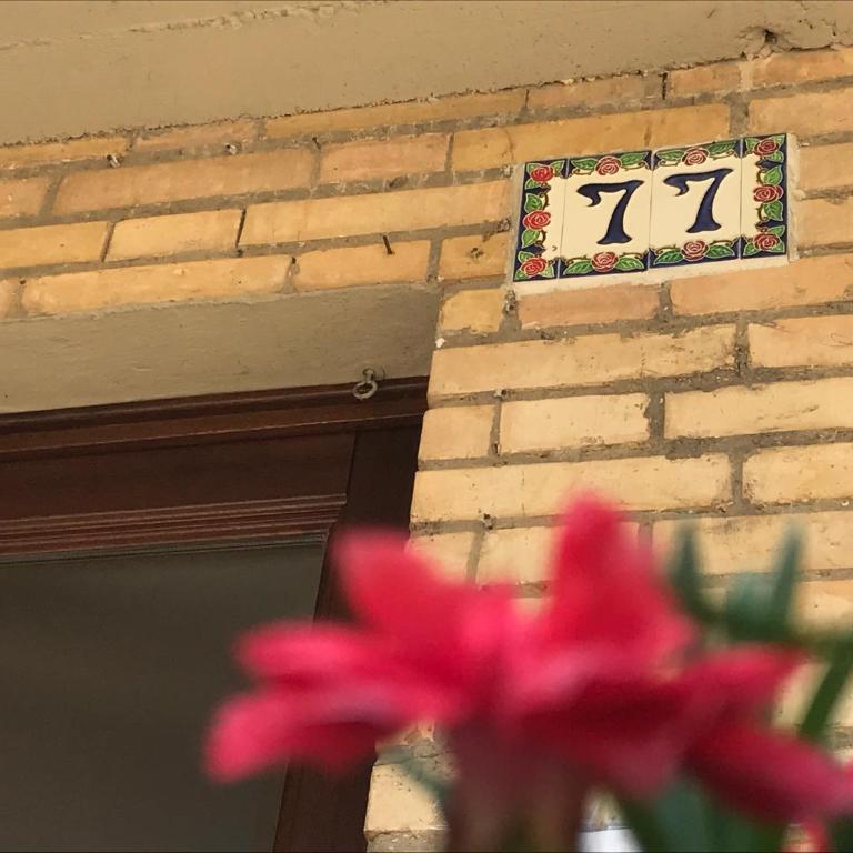 Appartamento con Parcheggio e Giardino Assisi - Appartamento - Piano Terra - 24