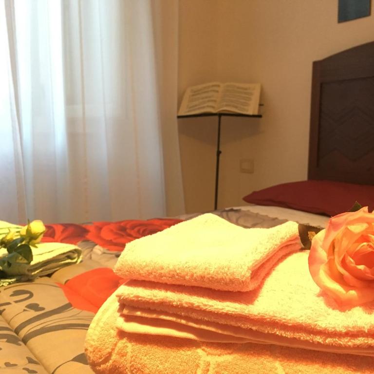 New Alex Home. Al Teatro. - Appartamento con 1 Camera da Letto - 6