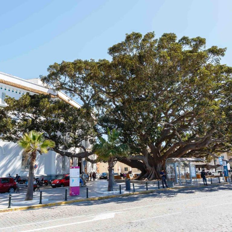 El TESORO de la Caleta by Cadiz4Rentals - Apartamento de 3 dormitorios - 13