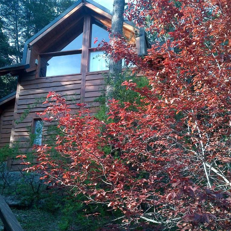 Calen-Hue - Cabaña con vistas al jardín - 8