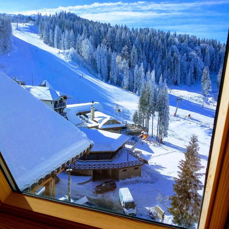 Apartment 533 in Aparthotel Vucko Jahorina - Private host - Apartment - 32