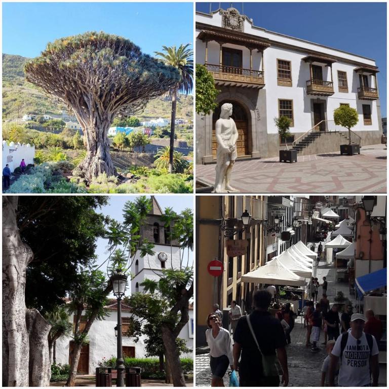 Plaza San Marcos CASCO HISTORICO con PARKING - Apartamento de 2 dormitorios - 44