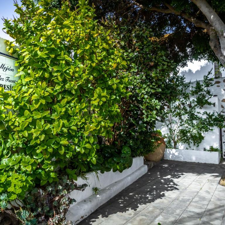Rooms & Suites Balcony 3D - Central Arrecife, Lanzarote - Free Parking - Apartamento de 3 dormitorios - 36