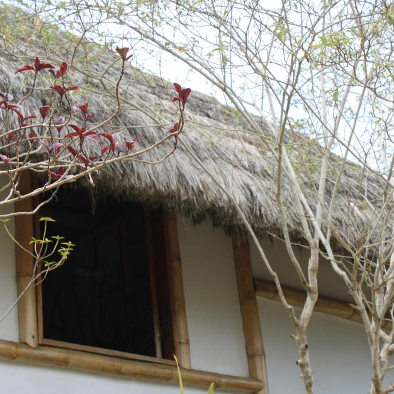 Muyuyo Lodge - Bungalow (5 adultos) - 4