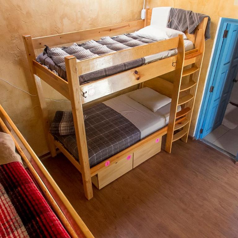 Posada del Abuelito (Hostel) - Bed in 4-Bed Female Dormitory Room - 5