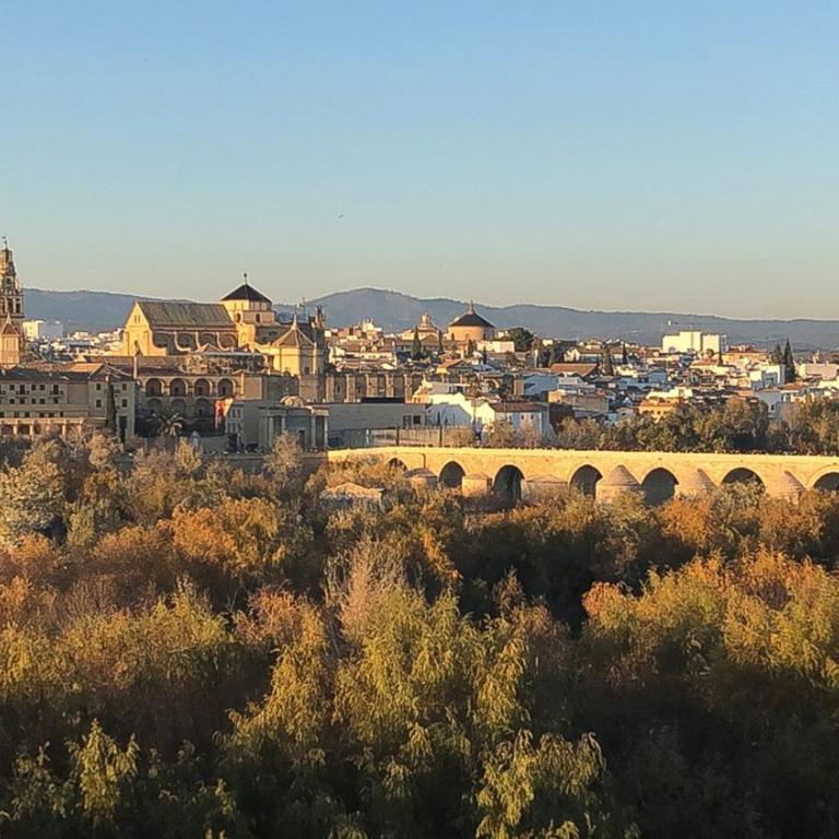 El mirador de la Mezquita-Catedral - Apartamento Deluxe - 55