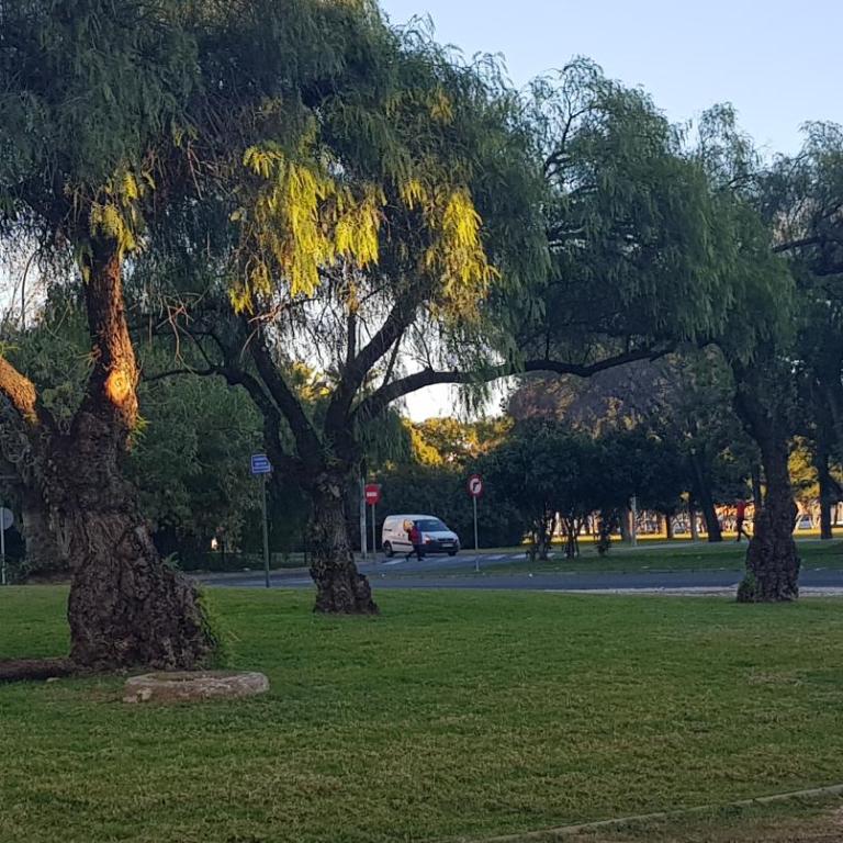 Apartamento frente a Palacio de Congresos (Fibes) - Apartamento de 3 dormitorios - 23