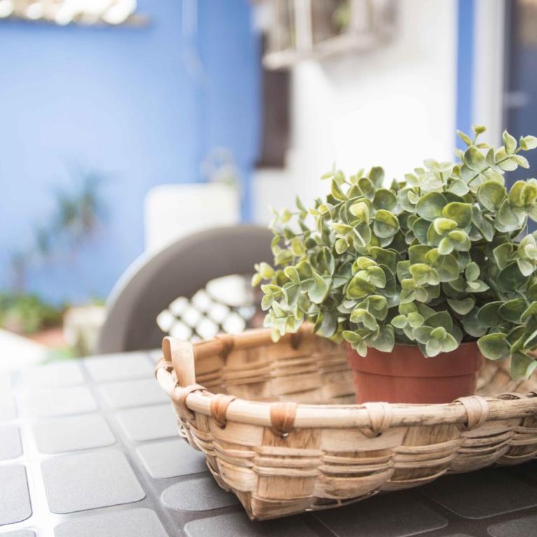 Apartamento en el corazón de Tarragona. Planta baja con patio. - Apartamento con patio - 2