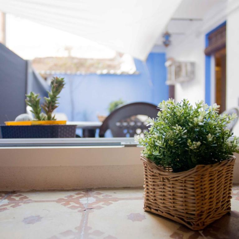 Apartamento en el corazón de Tarragona. Planta baja con patio. - Apartamento con patio - 86