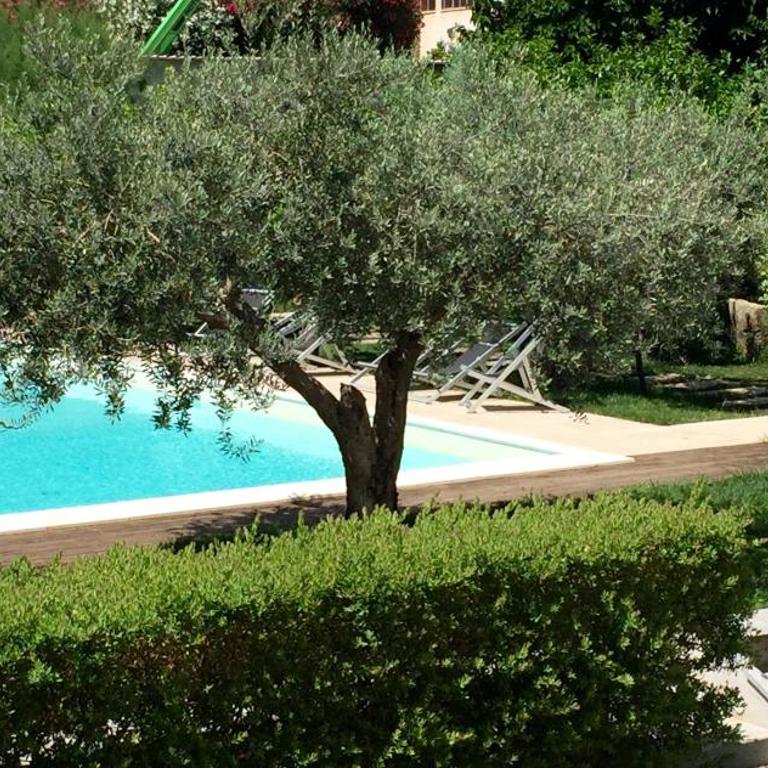 Casa Gelsomino - One-Bedroom House - 64