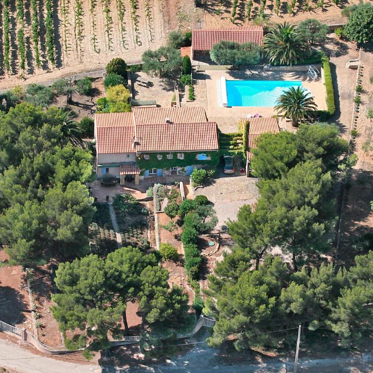 Le Mas des Vignes - Villa - 1