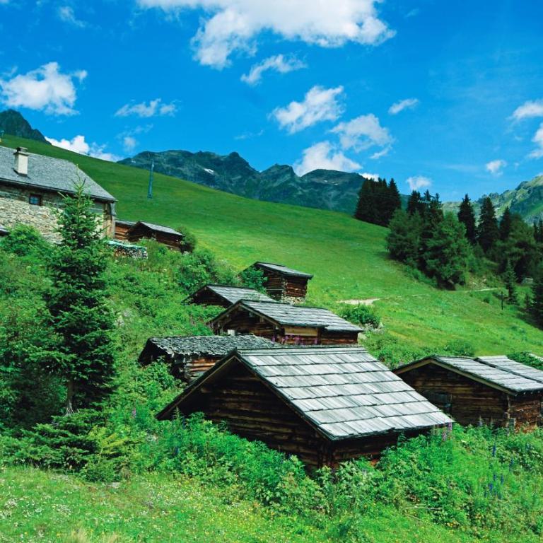 Ferienhaus Nadine - Ferienhaus - 77
