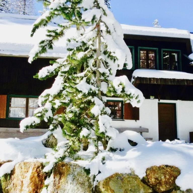 Waldnerhütte - Ferienhaus - 44