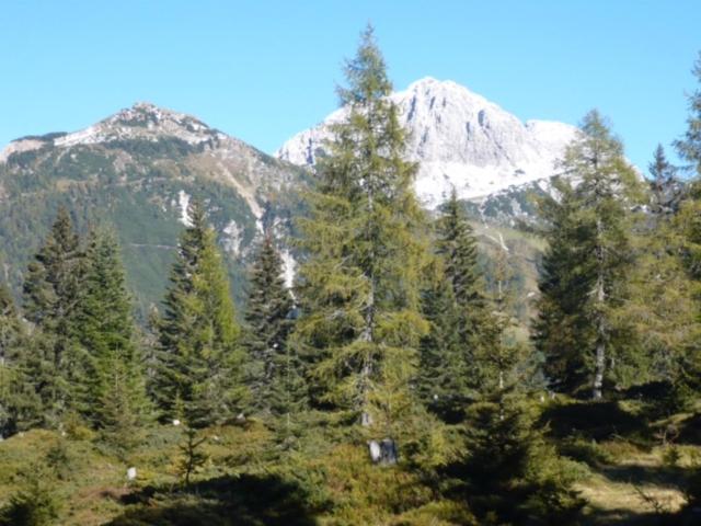Waldnerhütte - Ferienhaus - 35