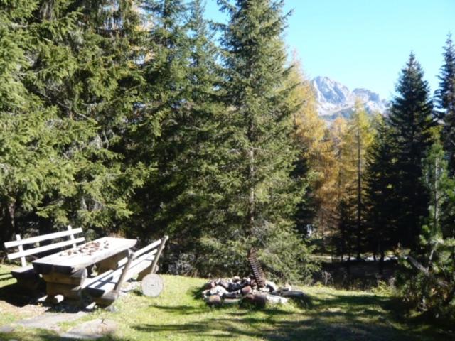 Waldnerhütte - Ferienhaus - 32