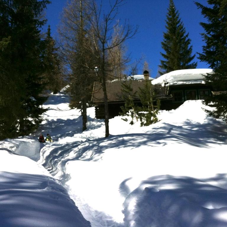Waldnerhütte - Ferienhaus - 41