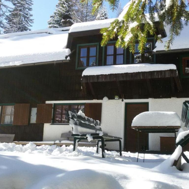 Waldnerhütte - Ferienhaus - 2