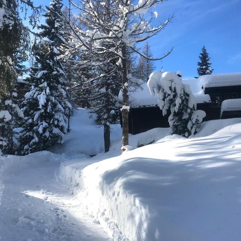 Waldnerhütte - Ferienhaus - 39