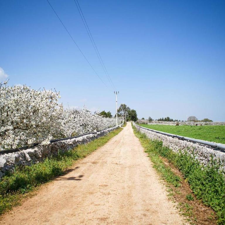 Trullo Dell'aia - Casa con 2 Camere da Letto - 34