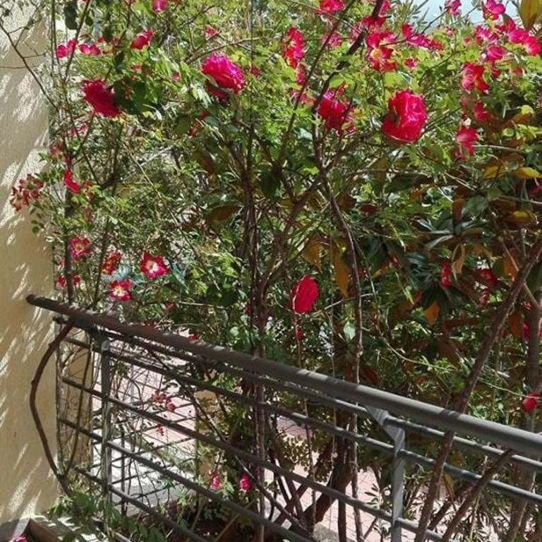 Bečići Sunset Apartments - One-Bedroom Apartment - 20