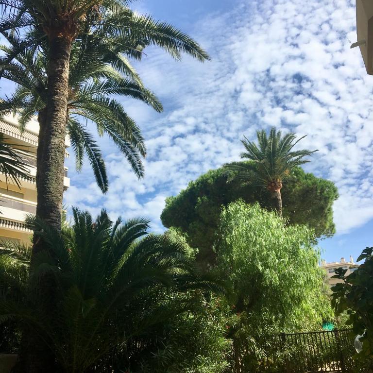 Antibes Juan les Pins center,1 bedroom apart, pool - Appartement 1 Chambre - 10