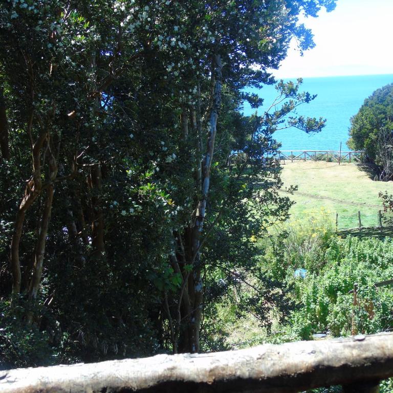 La Ranchita de Queilen - Casa - 3