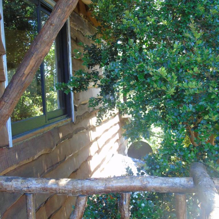 La Ranchita de Queilen - Casa - 34