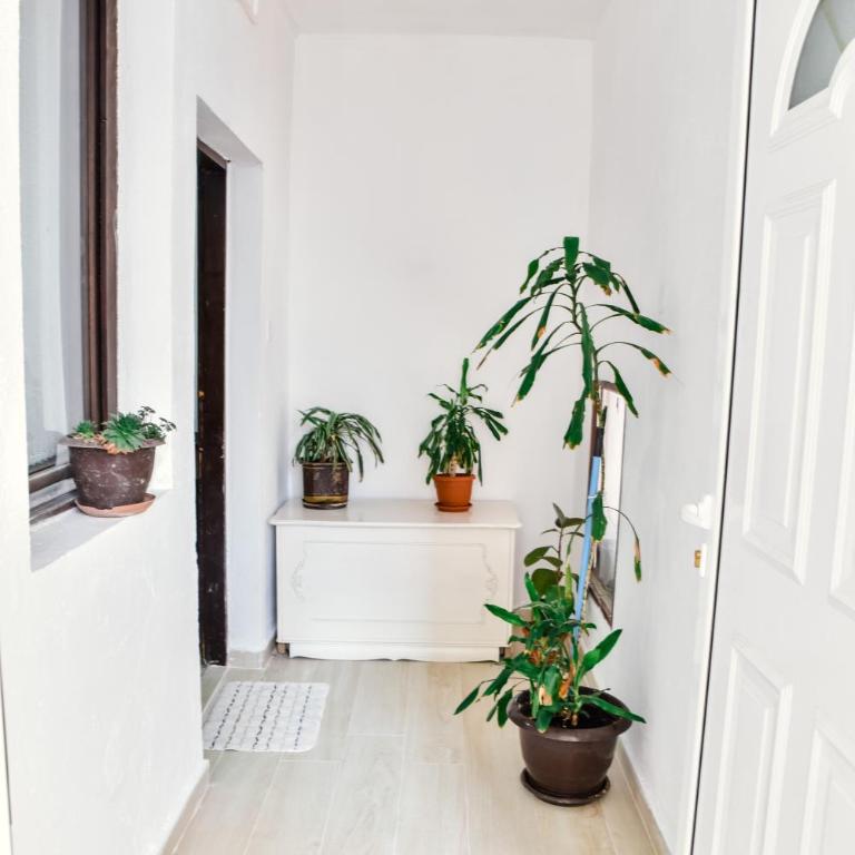 Apartment Jasovic - Apartment with Sea View - 13
