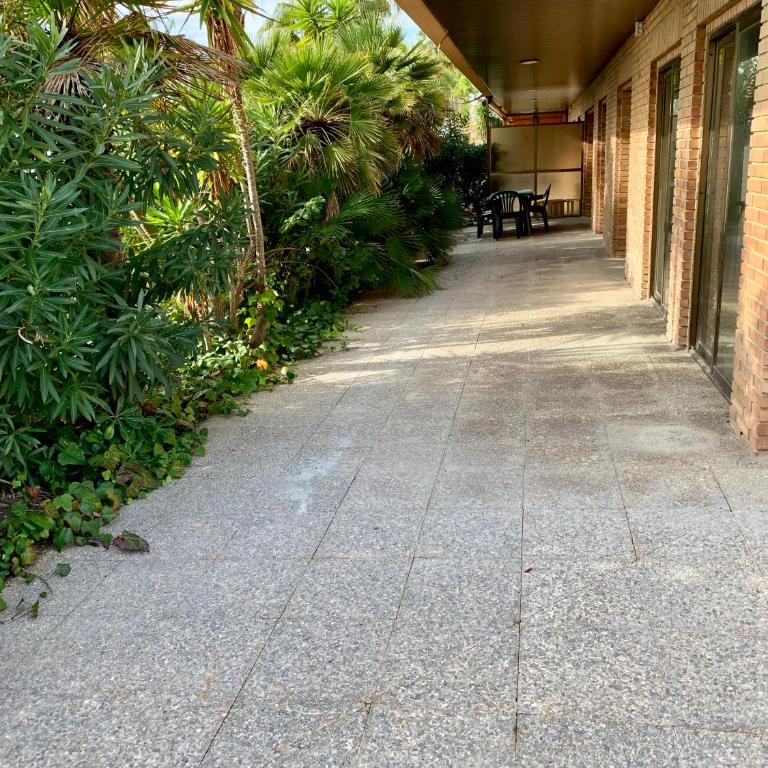 APARTAMENTO - WIFI FREE - FRENTE AL MAR - Apartamento - 3