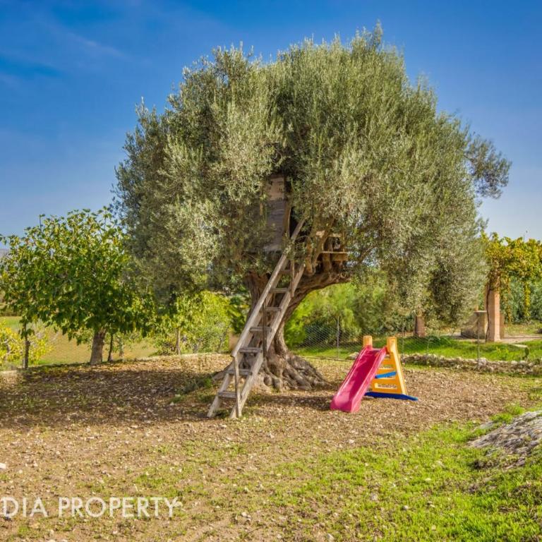 FINCA PEGASUS - Casa - 37