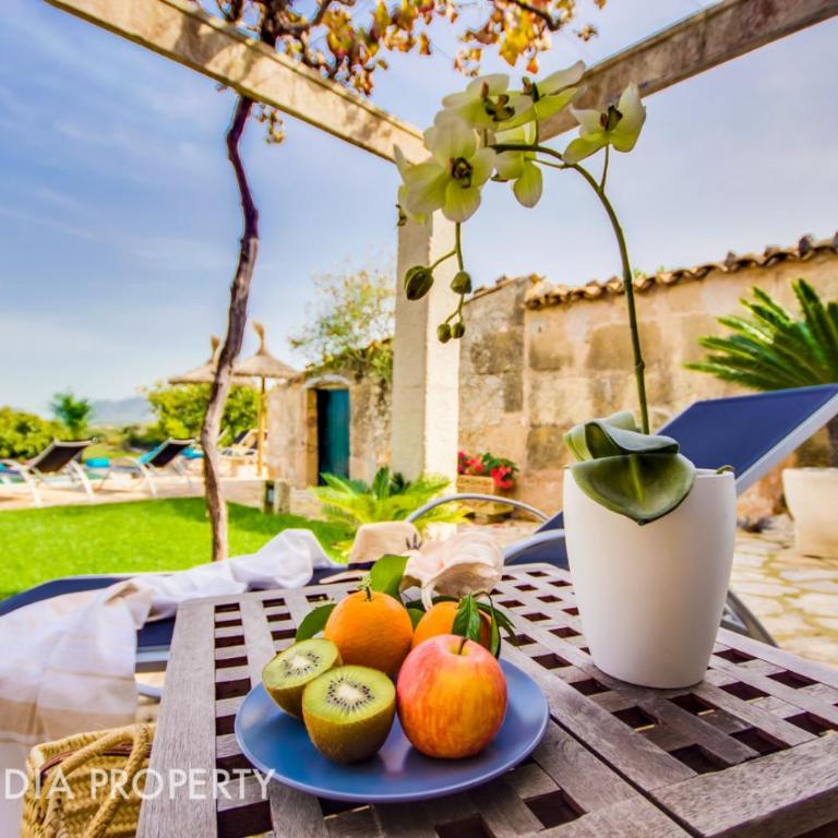 FINCA PEGASUS - Casa - 53