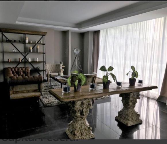 Mono ambiente Exclusivo - Apartamento de 1 dormitorio - 2