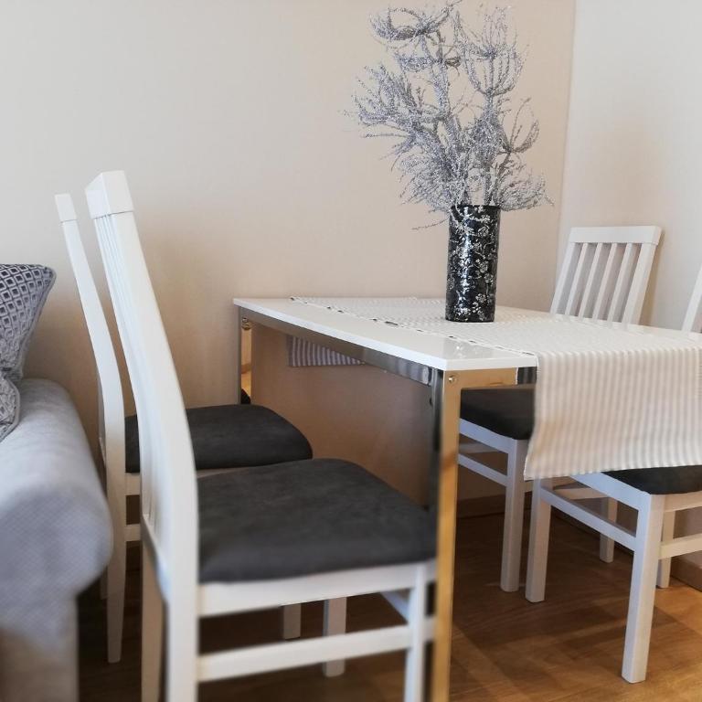 Lux Apartman Nataša Zlatibor - Apartman sa 1 Spavaćom Sobom - 29