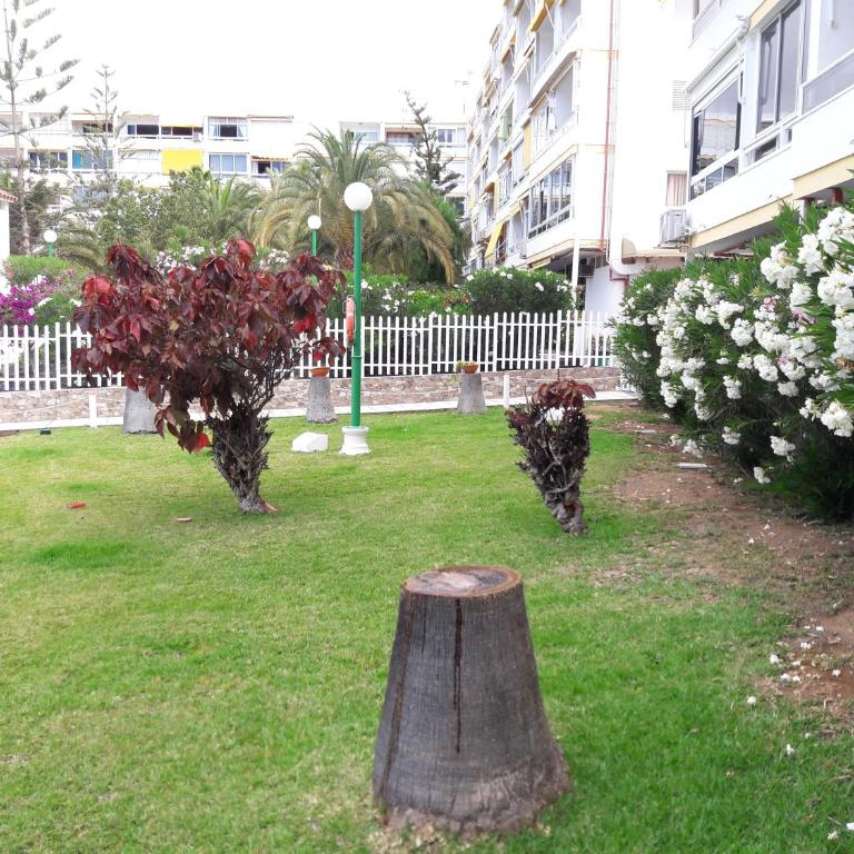 Apartment 2-2 Playa del Ingles - Apartamento con vistas a la piscina - 20